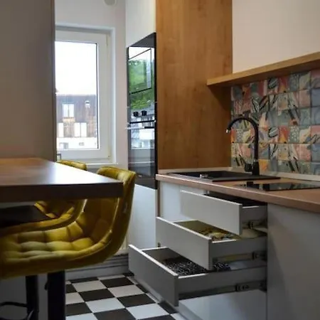 House Of Joy * 클루지나포카